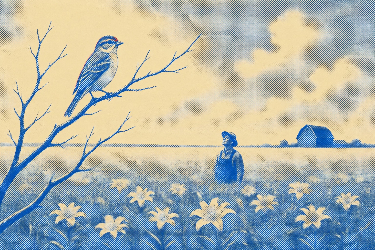 A single sparrow perched on a bare branch in the near foreground, wild lilies scattered through a wide open field below, one man standing wa